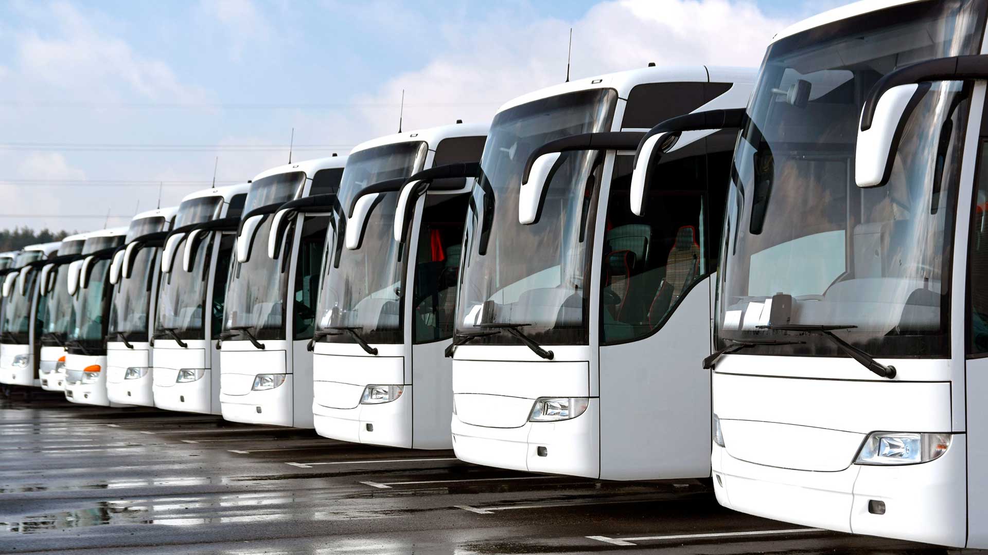 Minicoach Limo LLC coaches on the road