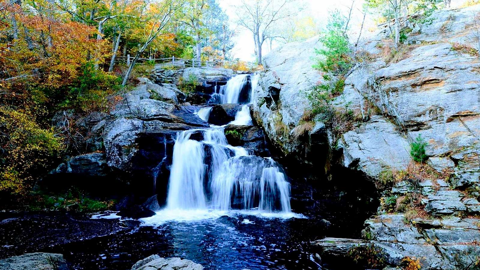 Explore Connecticut with Minicoach Limo LLC